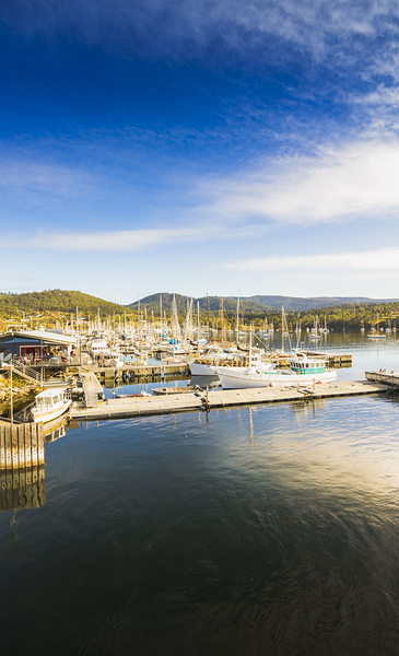 Docks and wharfs Print
