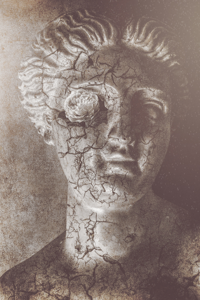 Beauty Never Fades Print