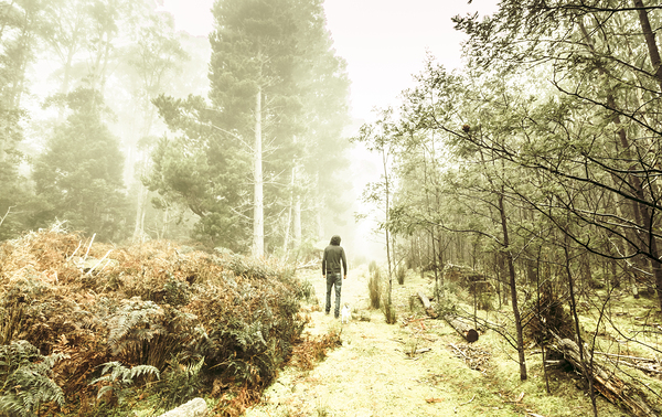 Mysterious trail Print