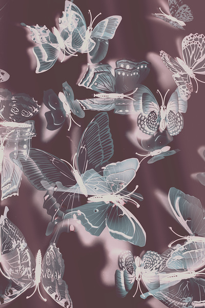 Fantasy flutters Print