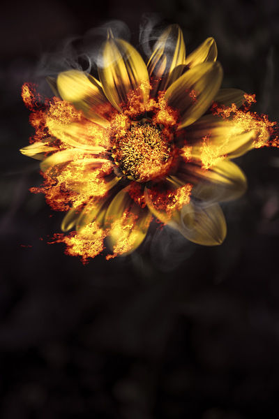 Flames of passion and intimacy Print