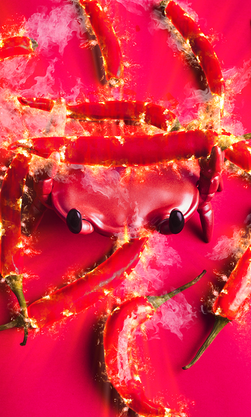 Chili con crab Print