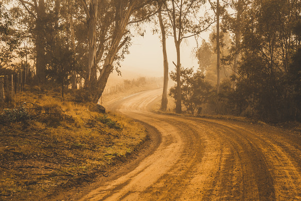 Mysterious autumn trail Print