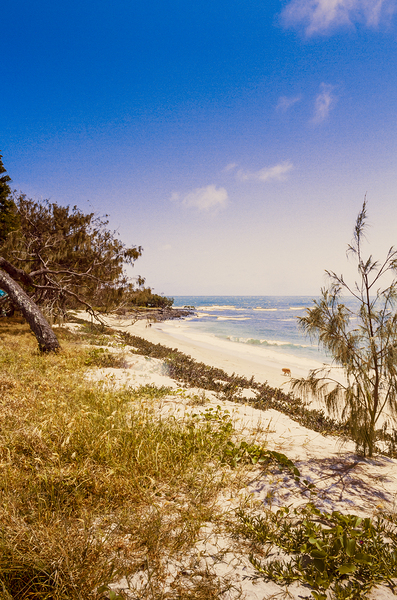 Paradise Pastel Print