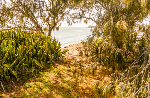 Summer Shading Print