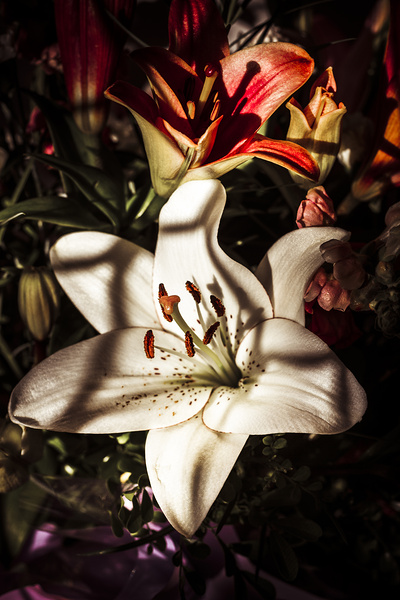 Floristry of closure Print