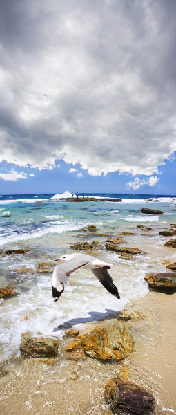 A Flight Of Hope Print