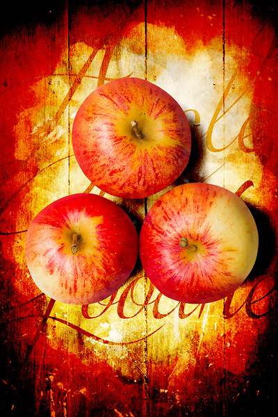 Apple barn artwork Print