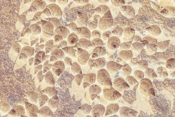 Spiral seaside Print