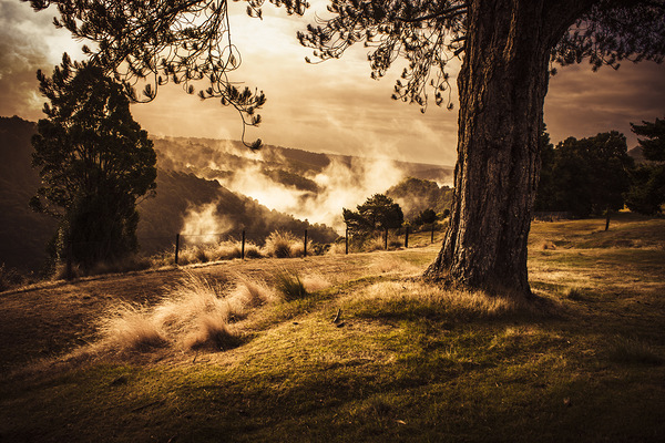 Peaceful vintage landscape of a rural meadow Print