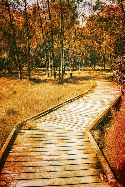 Path to autumn marshlands Print