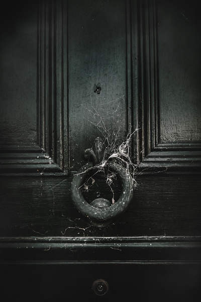 Safety behind closed doors Print