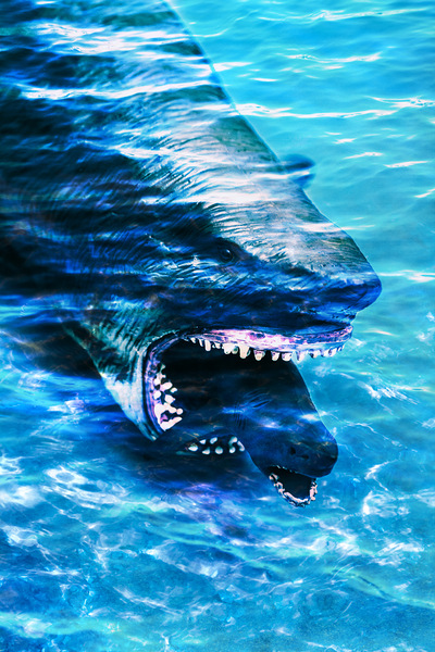 Shark bite Print