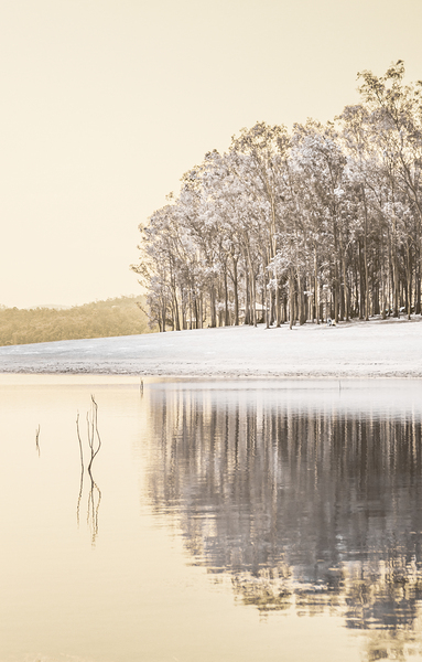 Infrared Lake Samsonvale Print