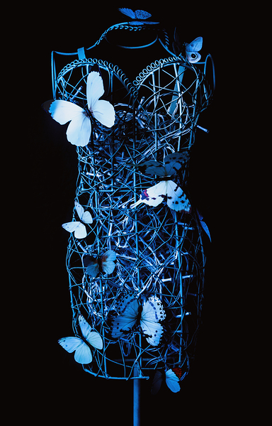 Of Wires And Wings Print