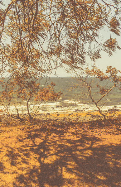 Orange Autumns By The Sea Print
