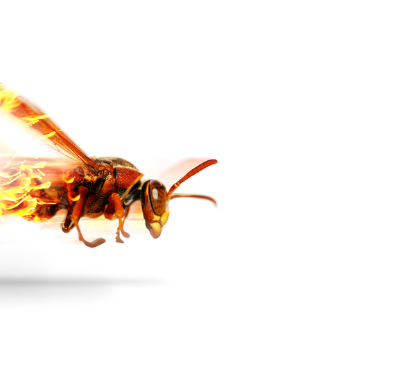 Fire Wasp Racing At Scorching Speed Print