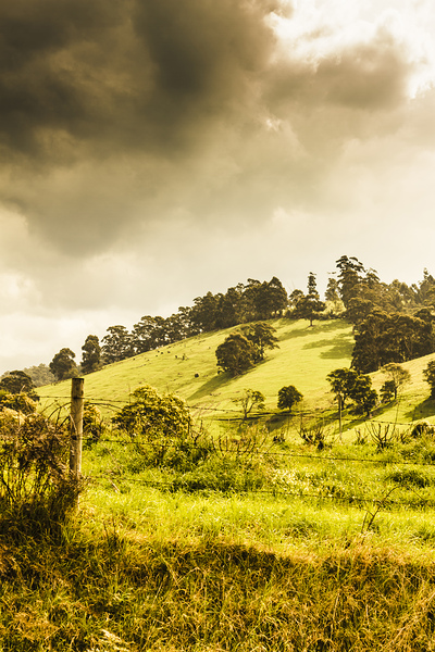 Lush green country farmland Print