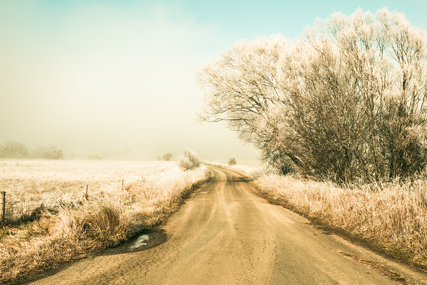 Winter road wonderland Print