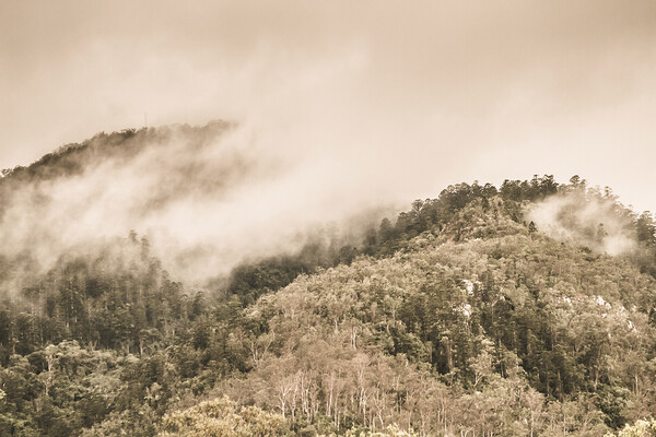 Elevated wonder Print