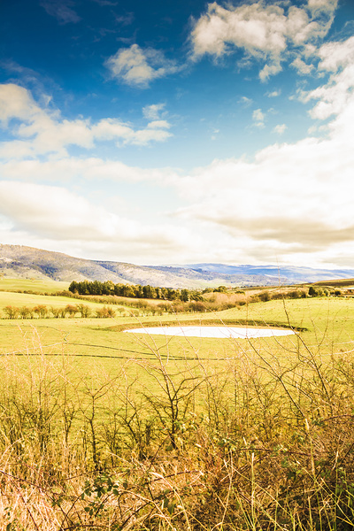 Australian open spaces  Print