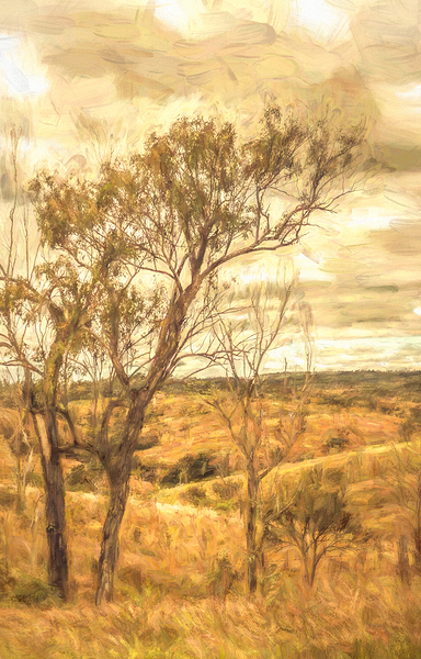 Summer dreaming Print