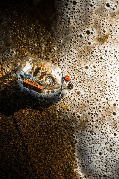 The tide and its takers Print