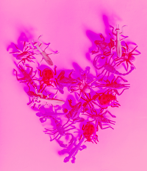 Love bug pop heart Print