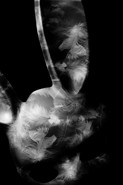 The rabbit hole Print