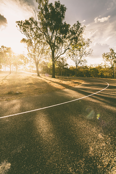 Meadow Meandering Print