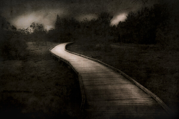 Path To The Unknown Print