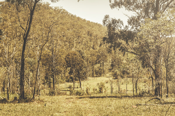 Vintage hillside Print