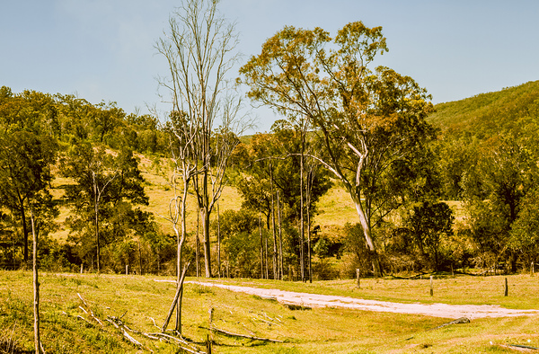 Bucolic backroads Print