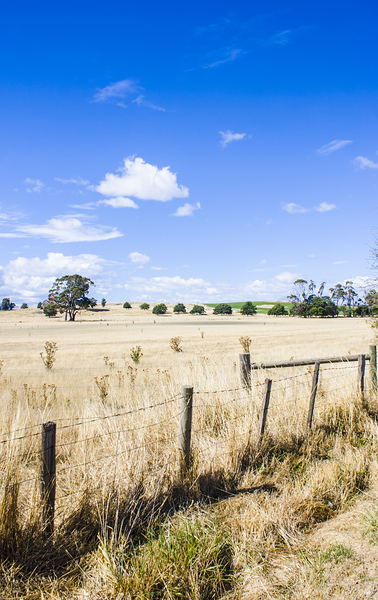 Arid agricultural landscape in South Tasmania Print