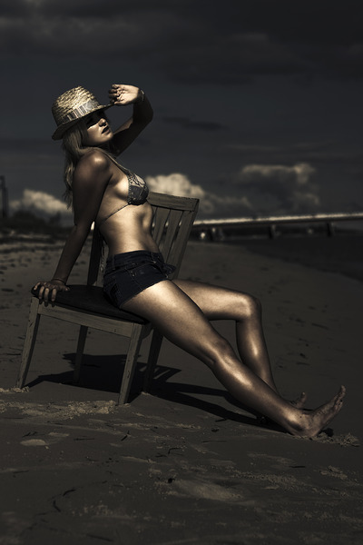 Vogue Life Style Holiday Print