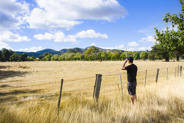 Man enjoying a rural farm landscape in Hobart Print