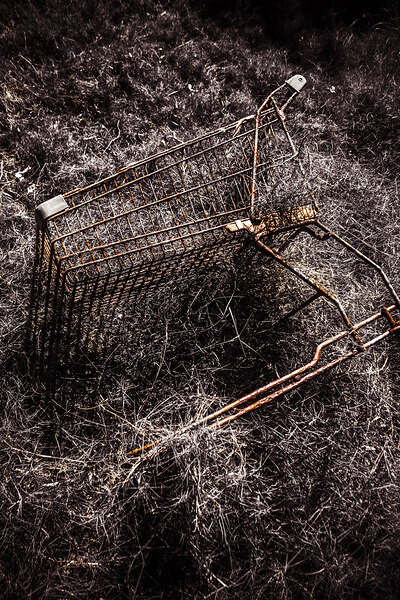 The not so great reset Print