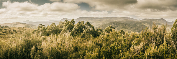 Savage River Lookout Tarkine Tasmania Print