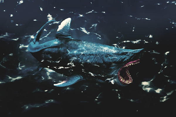 In tension seas Print