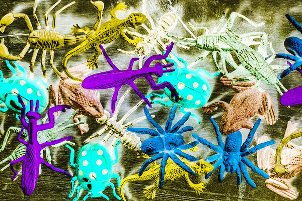 In jungles wild Print