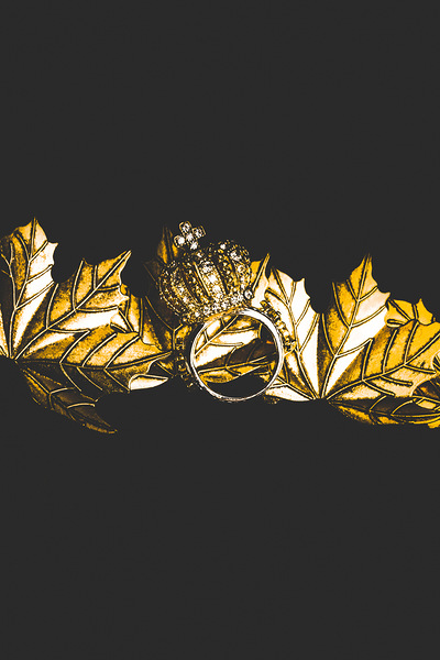 Royal crown jewels Print