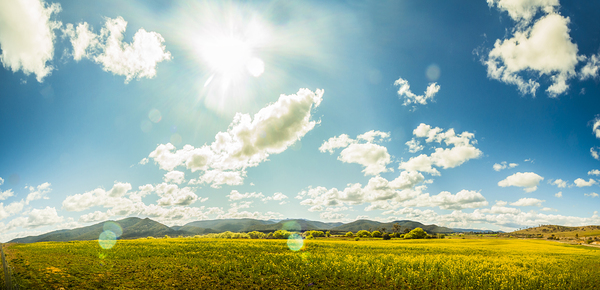 Spring country Print