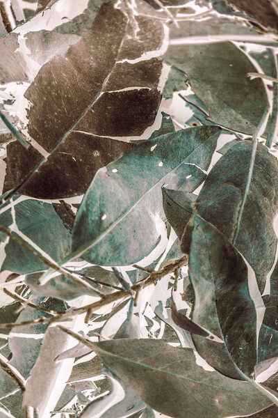 De Composition Print