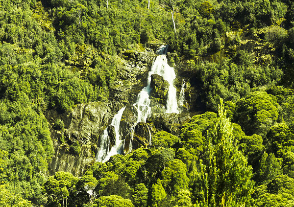 St Columba Falls Tasmania Print