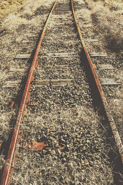 Western railway of routes forgotten Print