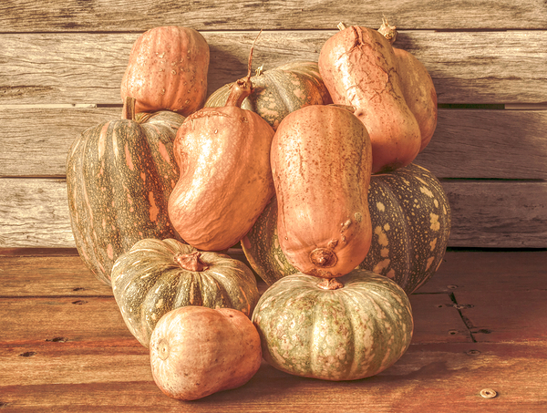 Gourd Almighty Print