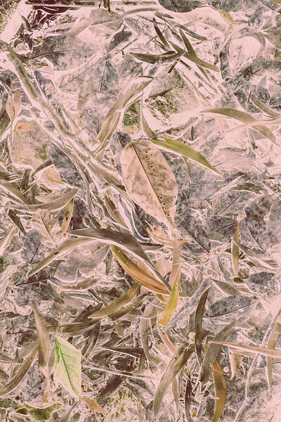 Awash in nature Print