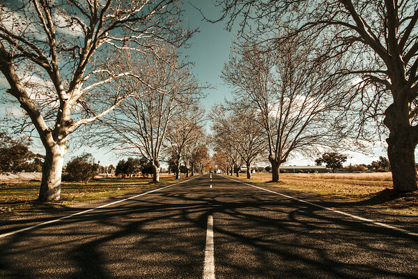 Entrance to Narrandera the Town of Trees Imprimer