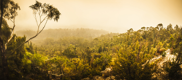 Land before time Print