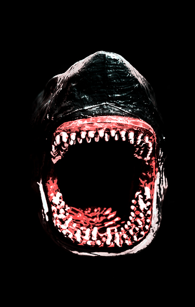Shark attack Print